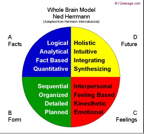 whole brain assessing comprehension smart cards|Herrmann's Whole Brain® Model .